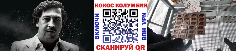 купить закладку  Покров  Cocaine 98% 
