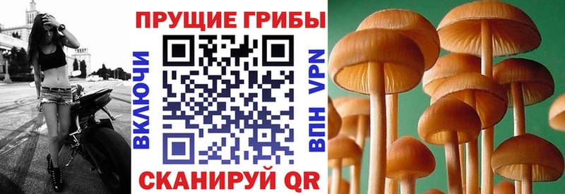 Галлюциногенные грибы мухоморы  ссылка на мегу зеркало  Покров  где купить  
